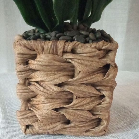 Green and White Faux Floral Orchid Accent Arrangement - Picture 5 of 5